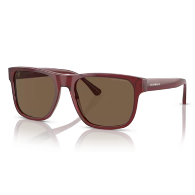 Emporio Armani EA4163 Sunglasses